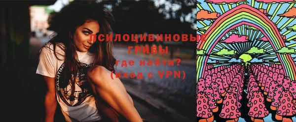 твердый Зерноград